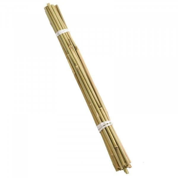 120cm Bamboo Canes Bundle 20 - Image 2