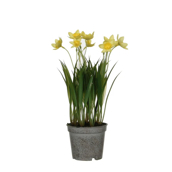 Artificial Daffodil in Pot 26cm