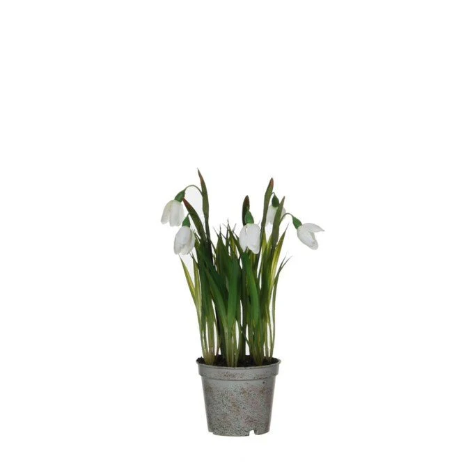 Artificial Snowdrop in Pot 24cm