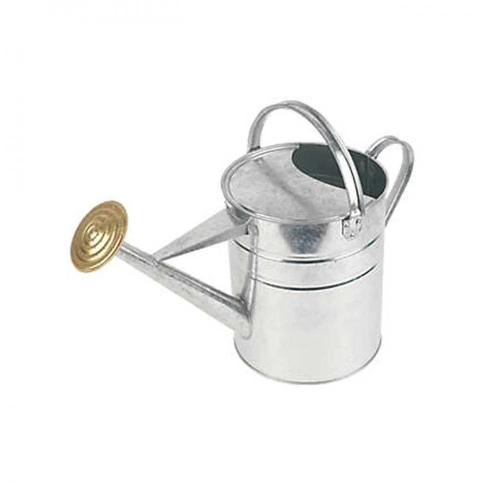 Galvanised Watering Can - 9ltr - Image 2
