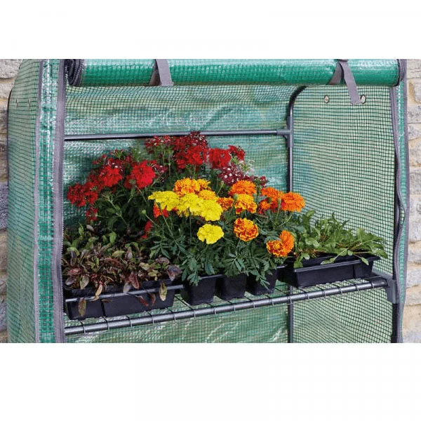 GroZone Growhouse - Image 5