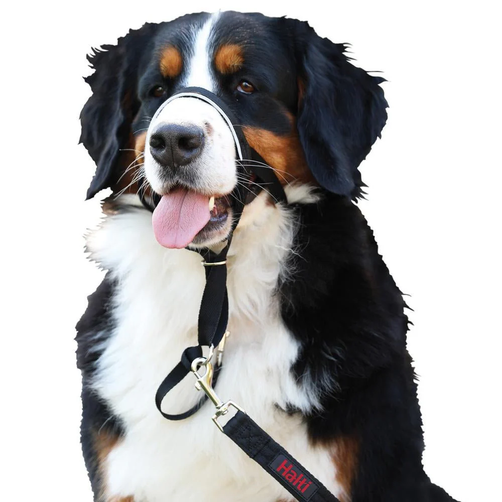 Halti Headcollar Size 5 Black