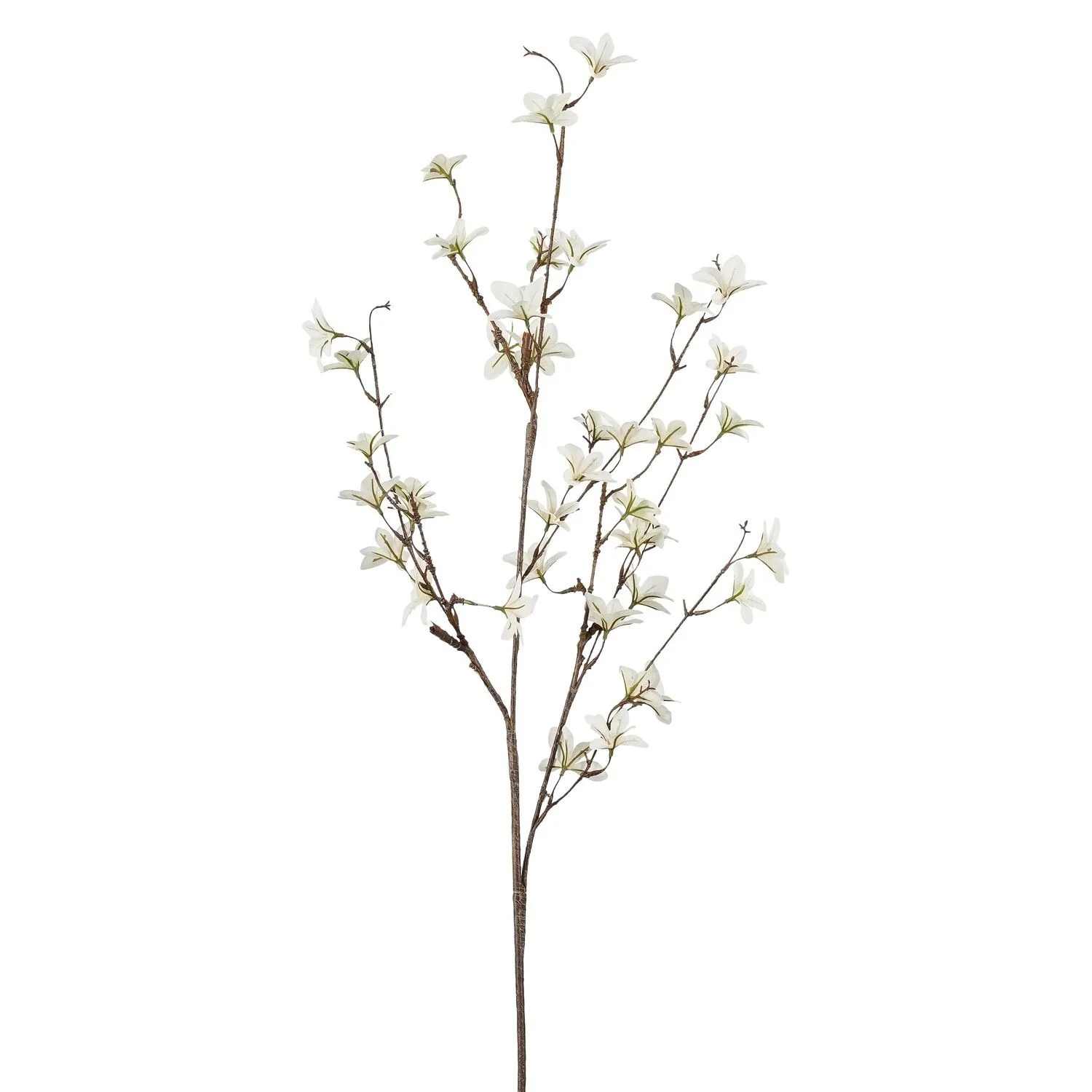 Pittosporum Branch White 120cm