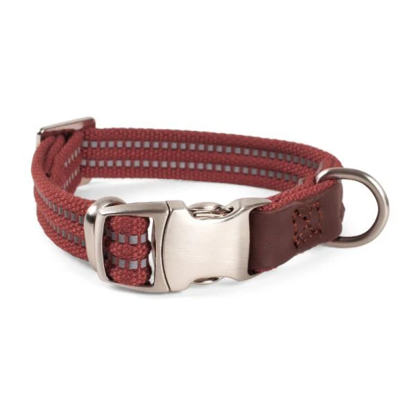 Primo - Burgundy - Medium - Walkabout Dog Collar (31cm-47cm) - Image 2