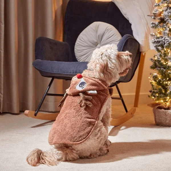 Rudy Christmas Dog Hoodie - 40cm