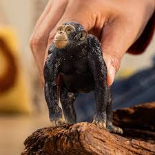 Schleich Wild Life Chimpanzee - Image 2