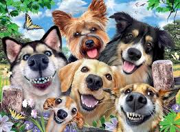 Selfie Dogs Delight 500Pce Puzzle - Image 2
