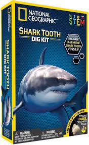 Shark Teeth Dig Kit