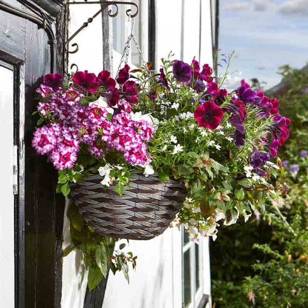 Smart Garden Pinto Faux Rattan Hanging Basket  - 14in