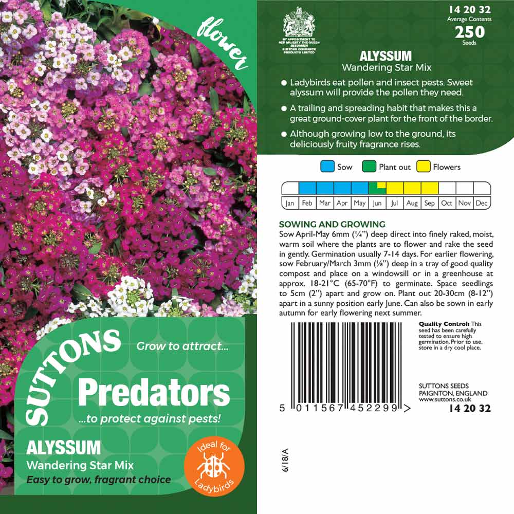 Suttons Alyssum Wanderingstar Pp - Image 2