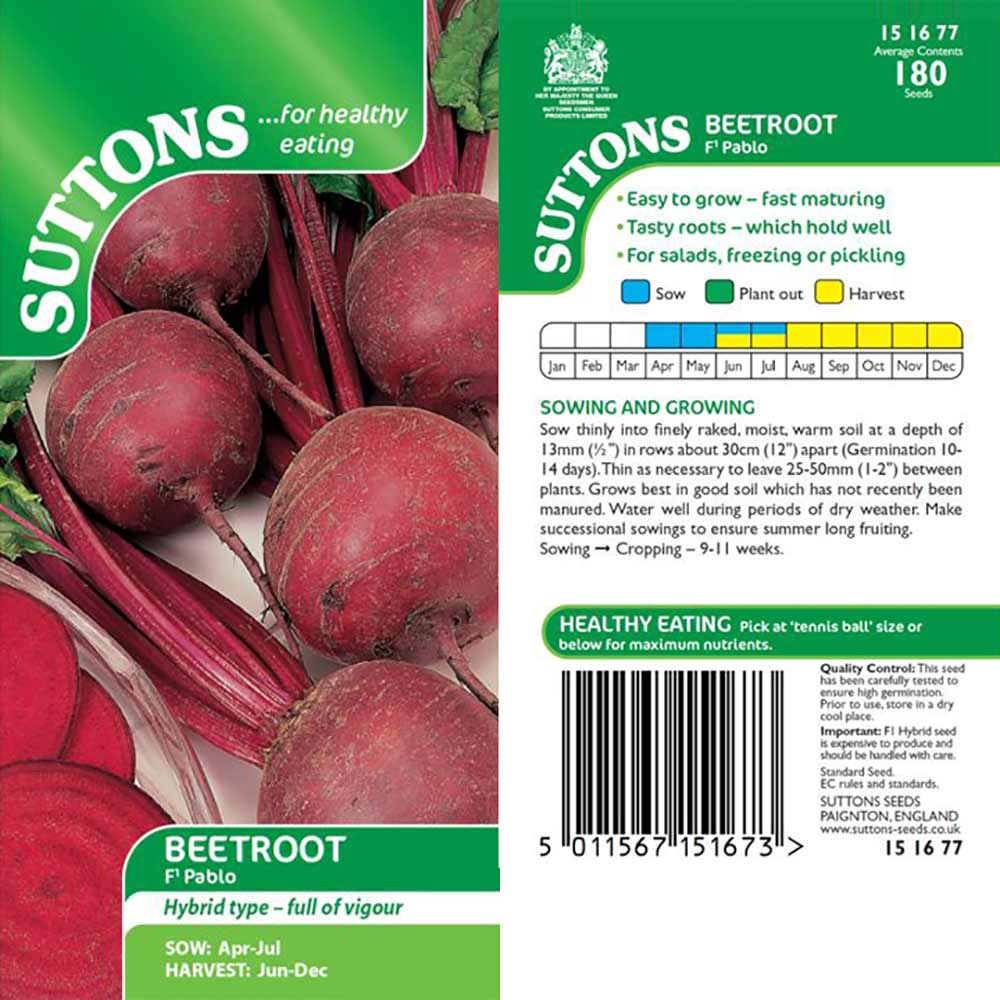 Suttons Beetroot Pablo F1 151677 - Image 2