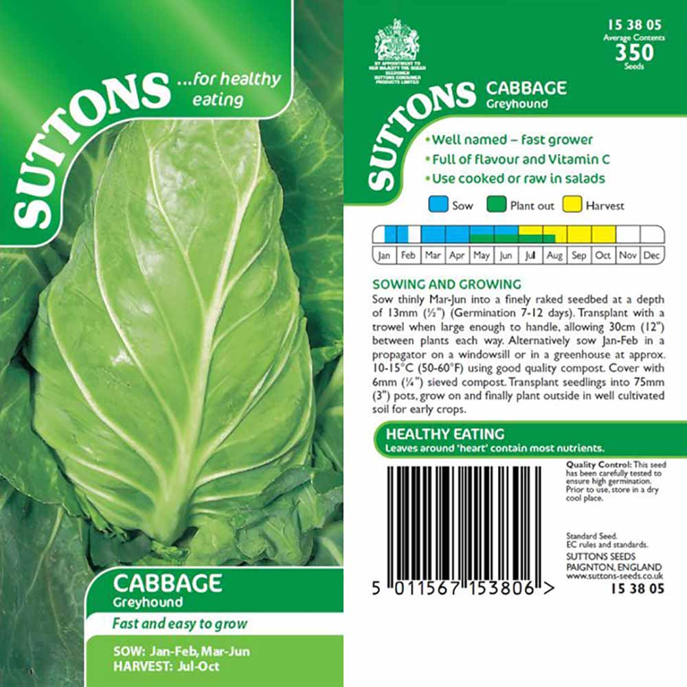 Suttons Cabbage Greyhound 153805 - Image 2