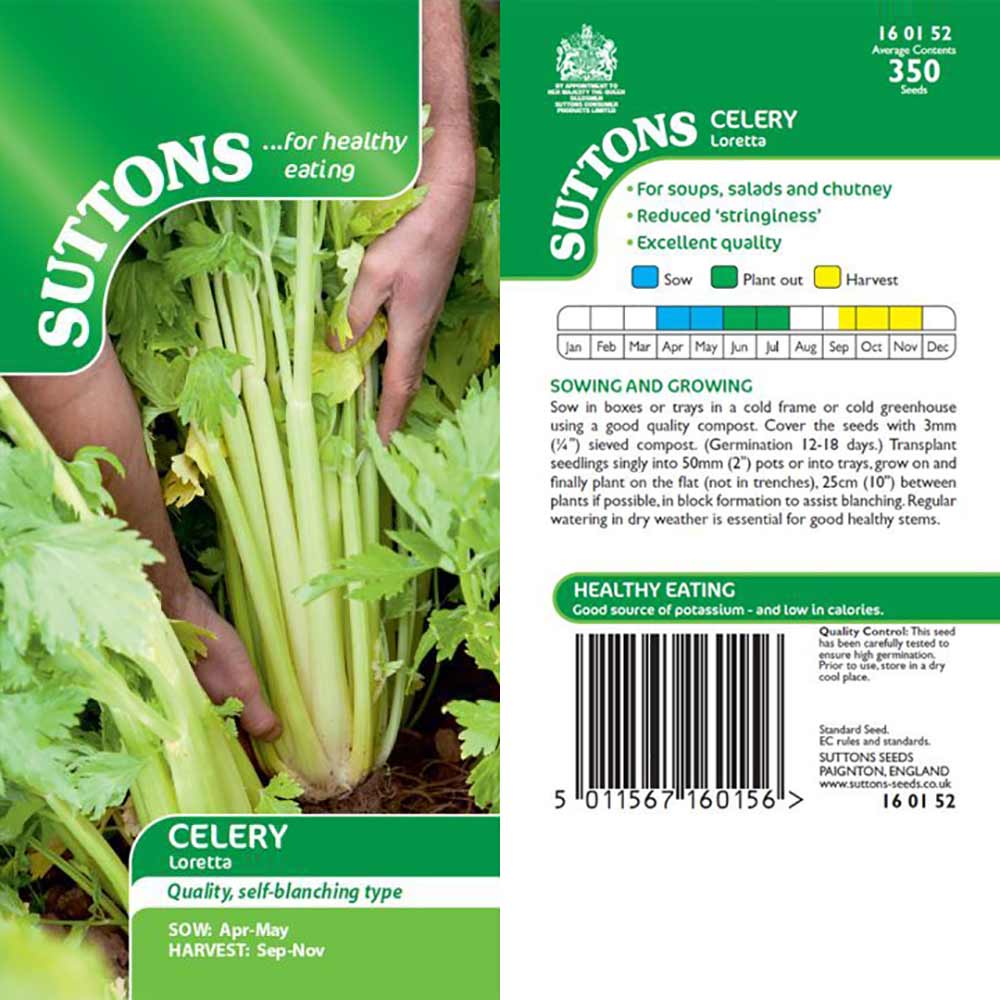 Suttons Celery Loretta G160152