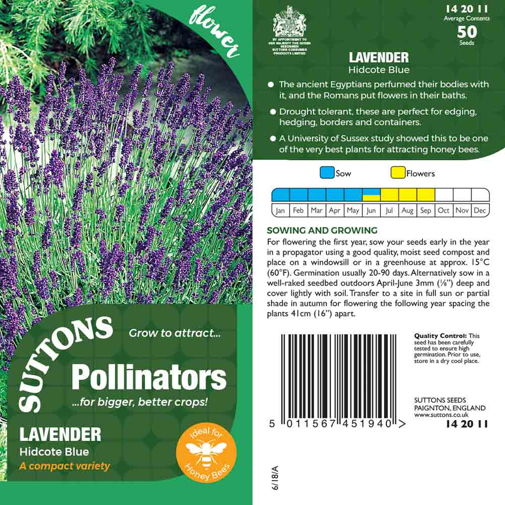 Suttons Lavender Hidcote Blue Pp