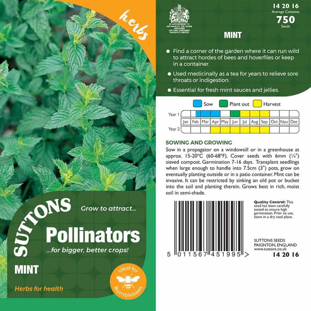 Suttons Mint Pp