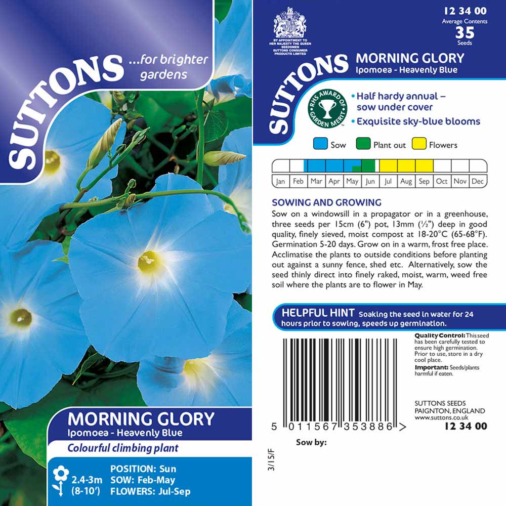 Suttons Morning Glory Ipomea Heavenly Blue - Image 2