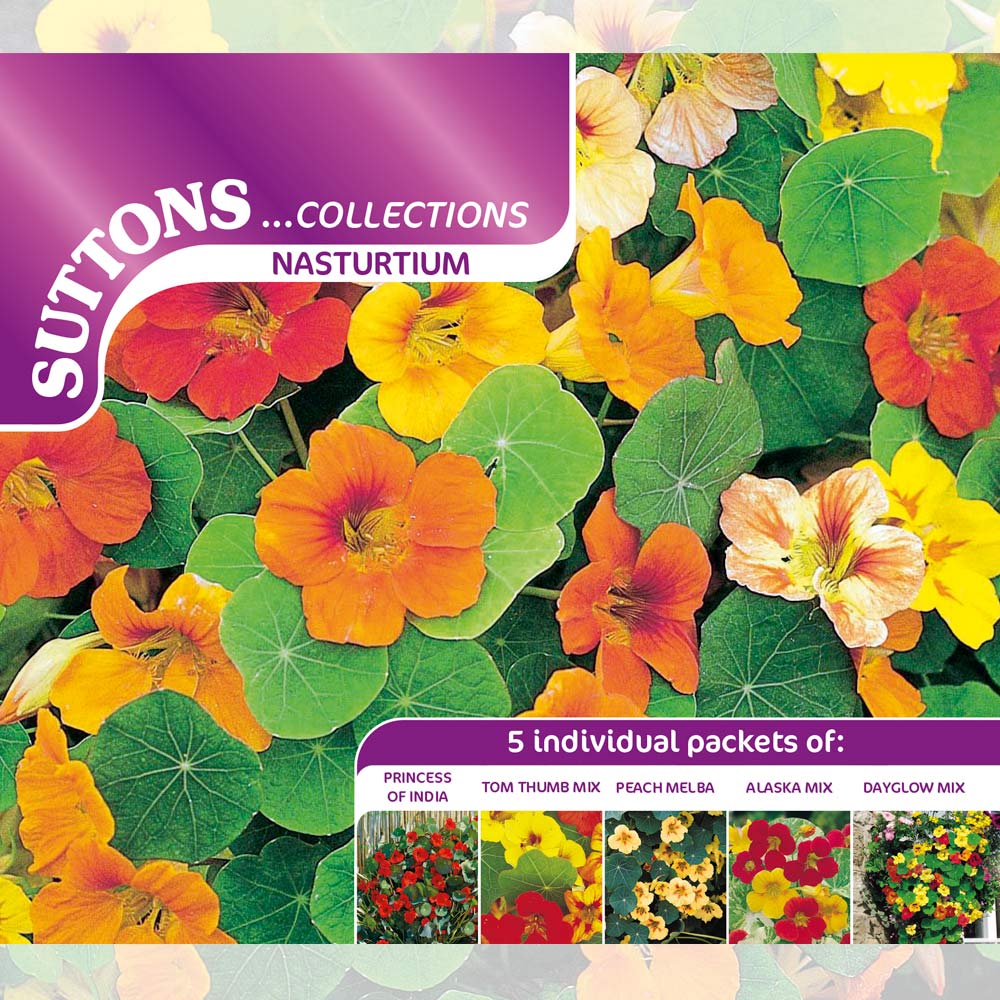 Suttons Nasturium Collection 139827 - Image 2
