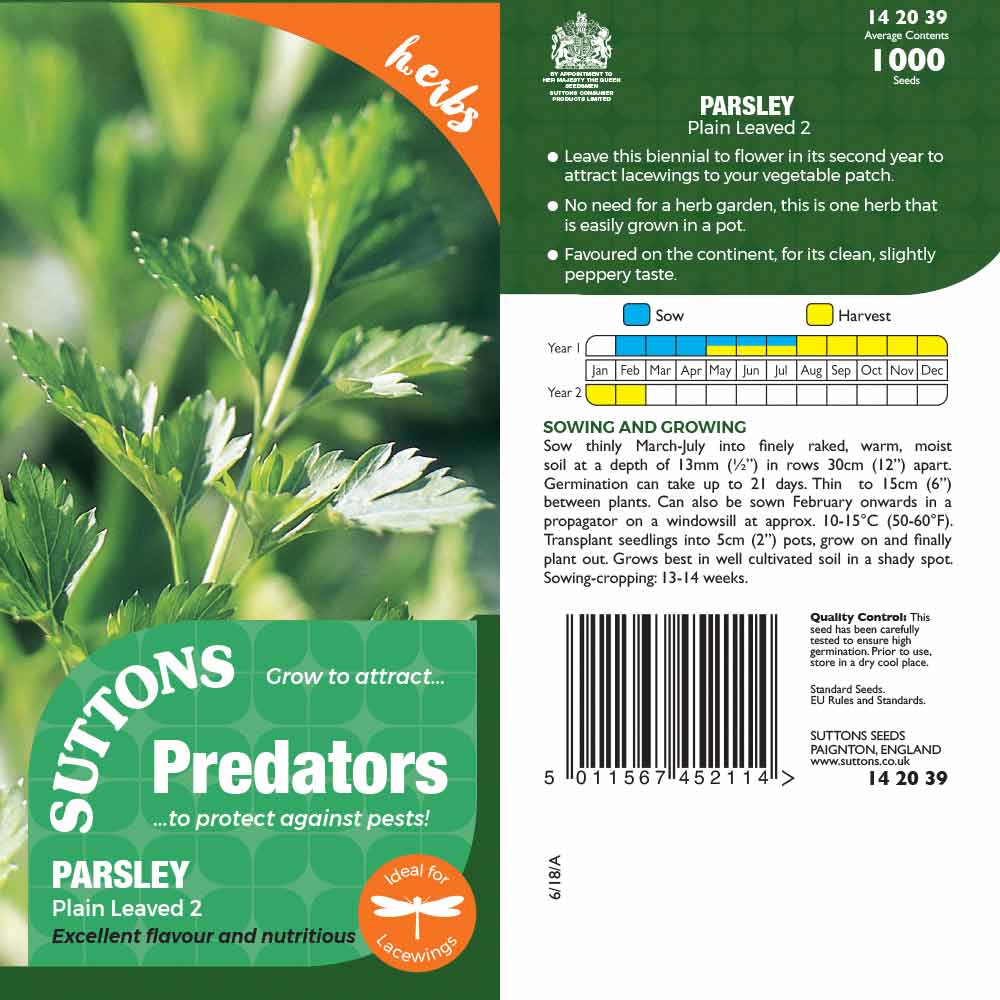 Suttons Parsley Plain Leaved 2 Pp