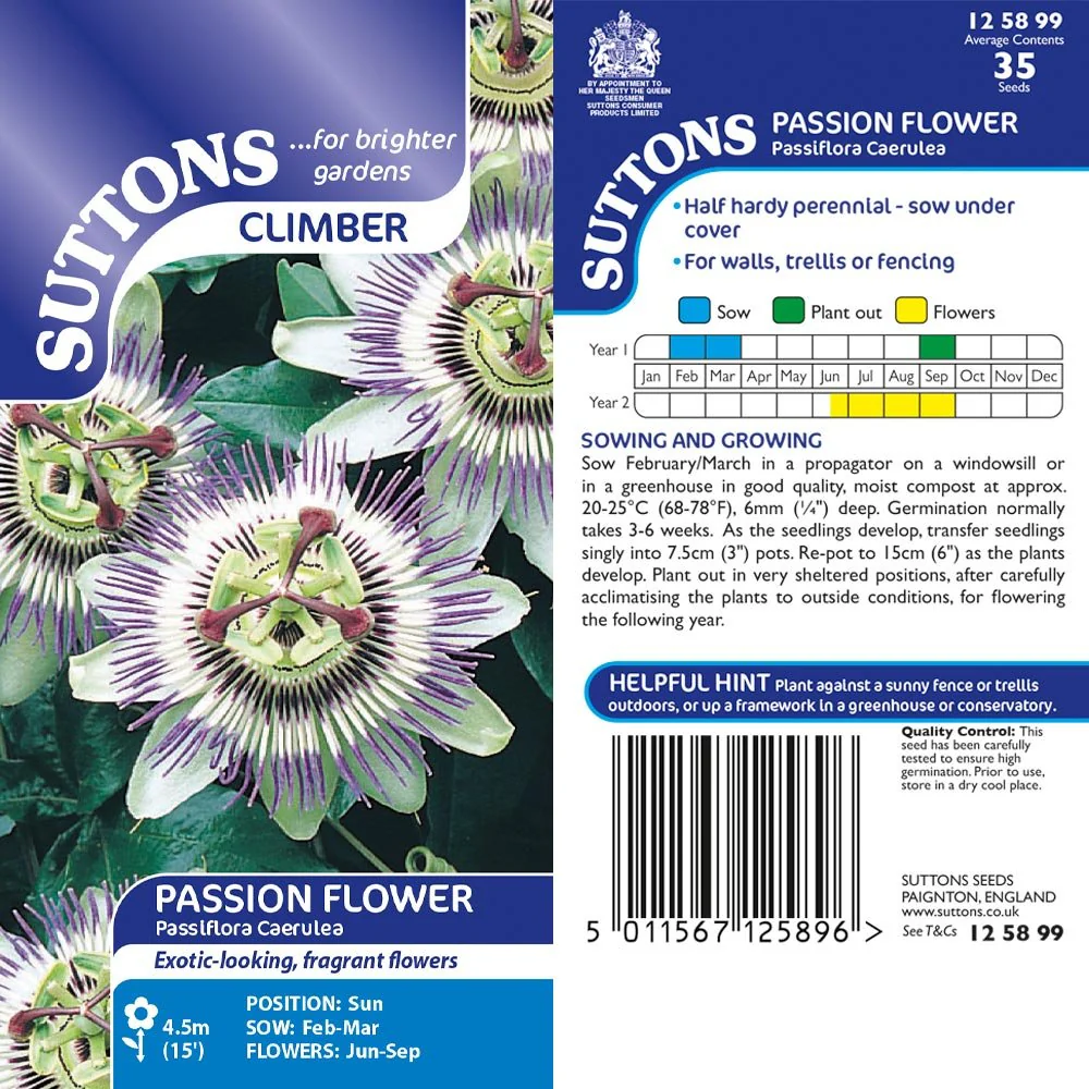 Suttons Passion Flower Passiflora Caerulea G125899 - Image 2