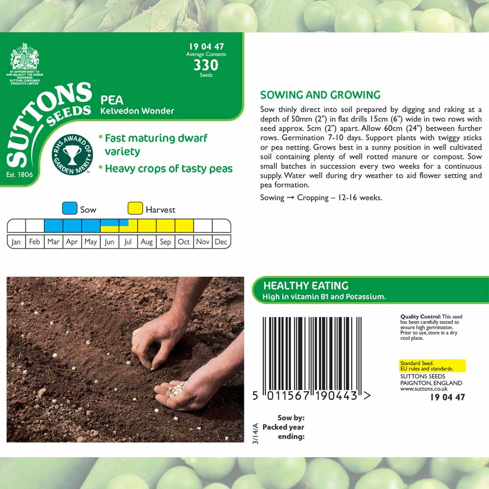Suttons Pea Kelvedon Wonder 190447 - Image 2