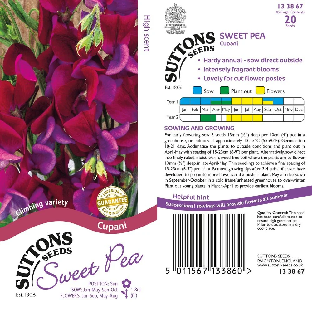 Suttons Sweet Pea Cupani 133867 - Image 2