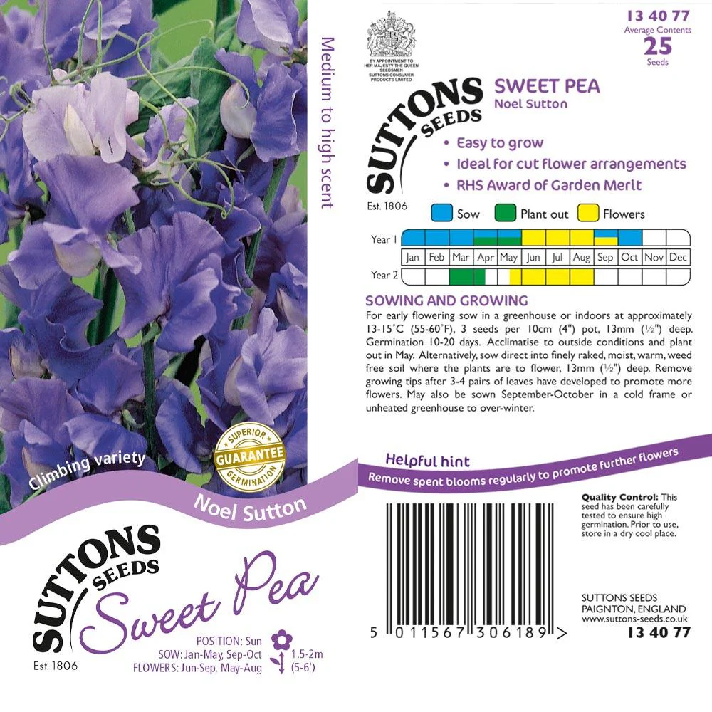 Suttons Sweet Pea Noel Sutton 134077
