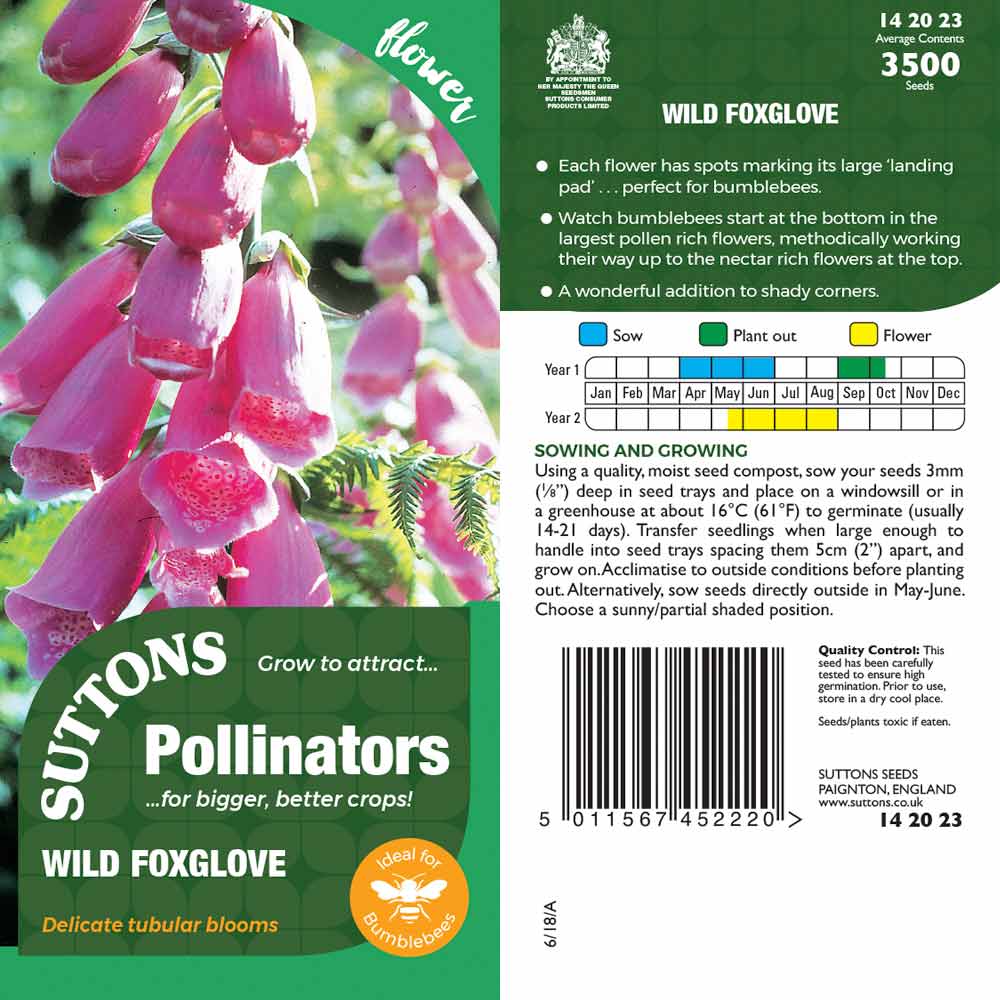 Suttons Wild Foxglove Pp - Image 2