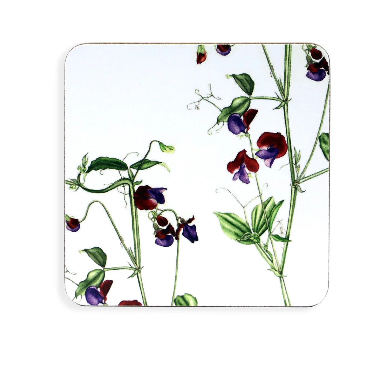TIPPERARY CRYSTAL Botanical Studio Set of 6 Coasters - Image 3