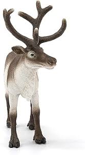 Wild Life Range Shot Reindeer - Image 2